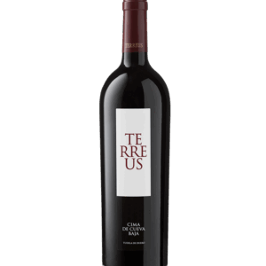 Mauro Terreus