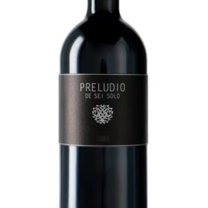 Preludio de Sei Solo